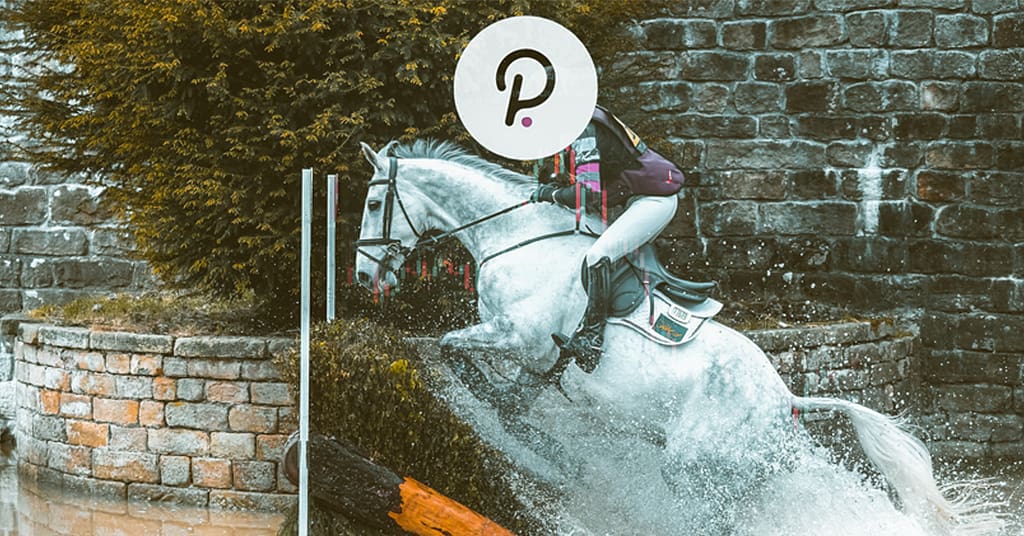 PolkaDot Up Explained Image