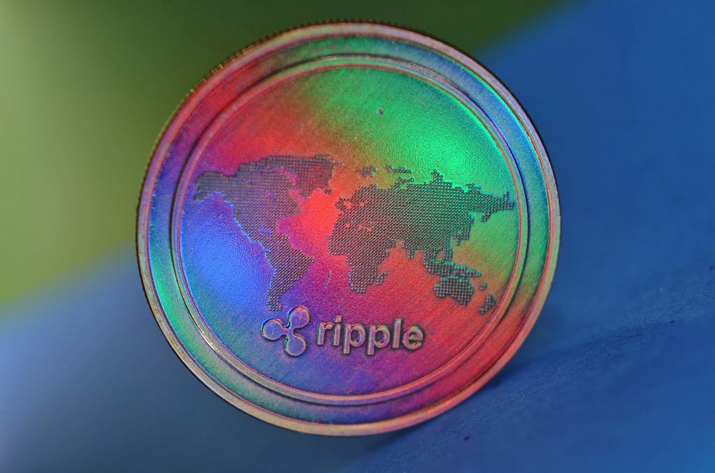 Ripple Net Explained Image 