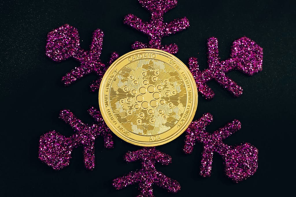 Christmas cardano overview 